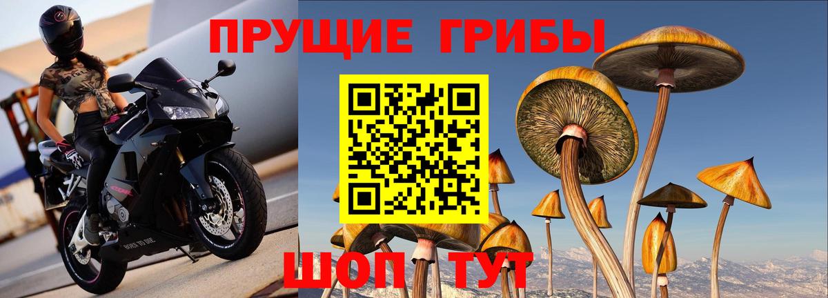 Псилоцибиновые грибы MAGIC MUSHROOMS  Вход с VPN  Шали 